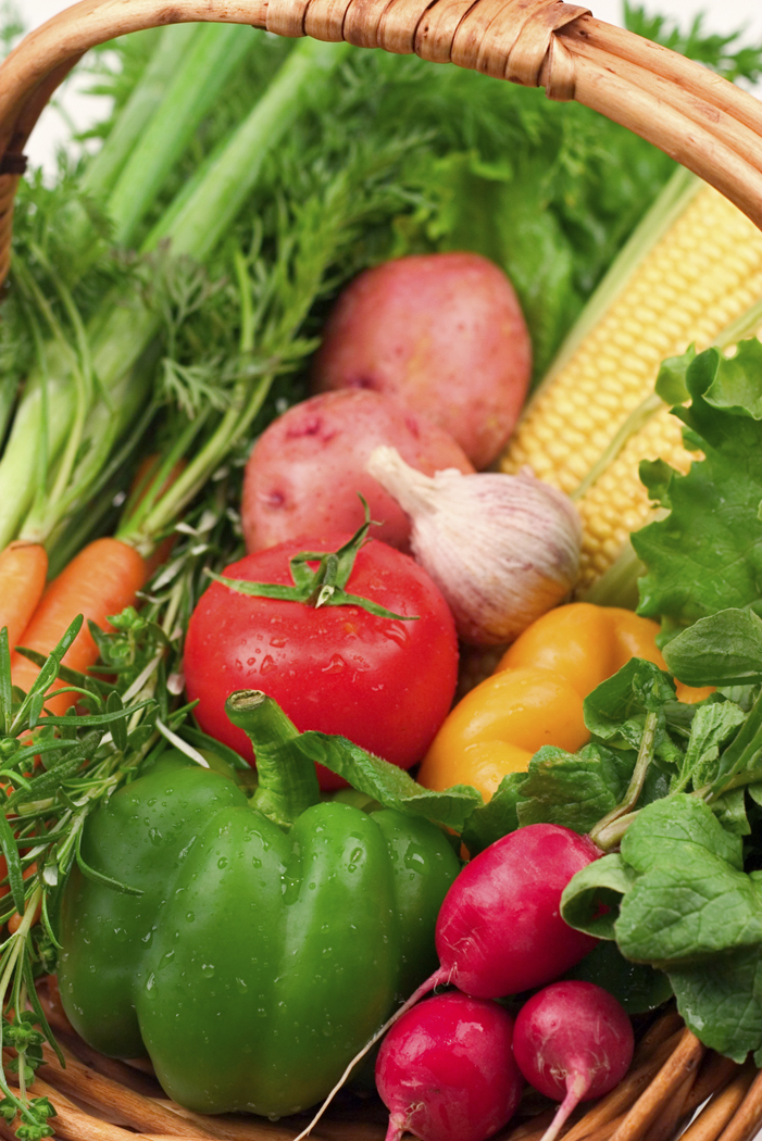 Vegetable Bounty